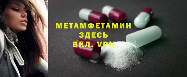 сатива Аша