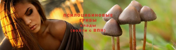 метамфетамин Новозыбков