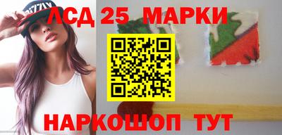 гашик Аргун