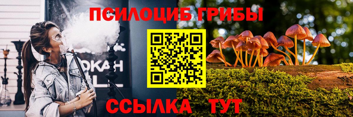 Галлюциногенные грибы GOLDEN TEACHER Стерлитамак