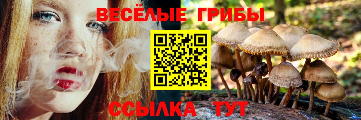 купить  цена  Псилоцибиновые грибы Magic Shrooms  Стерлитамак  Псилоцибиновые грибы MAGIC MUSHROOMS 