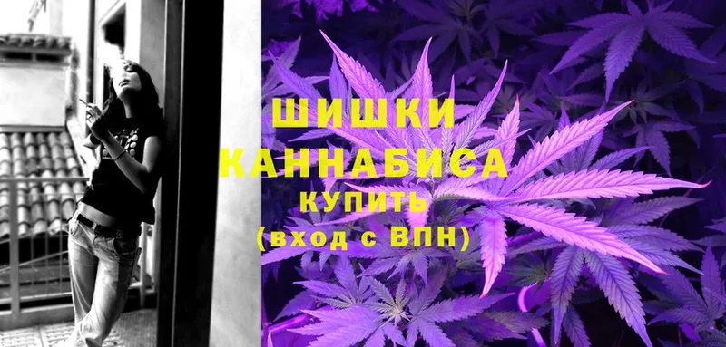 Конопля OG Kush  omg сайт  Стерлитамак 